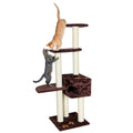 Brown Cat Tree J552