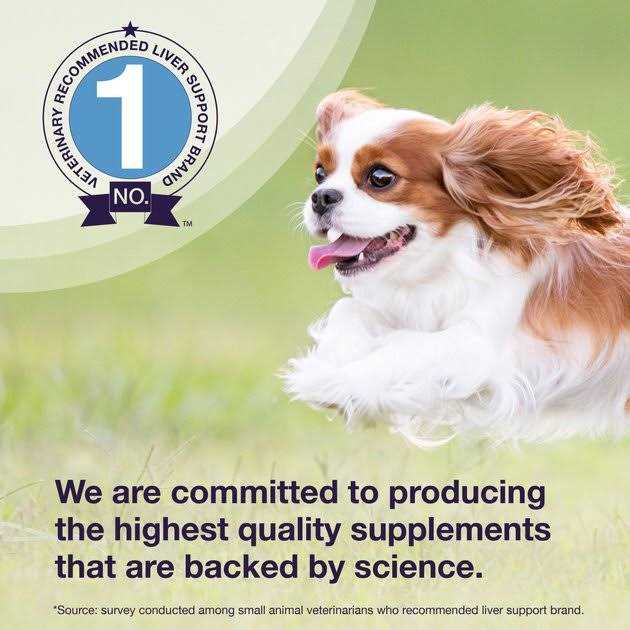 Liver Health Tablets Dogs Z245