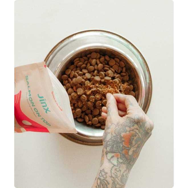 Freeze Dried Salmon Dog Food Topper Q583966
