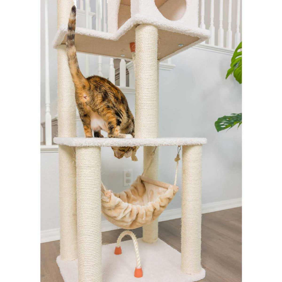 Ivory Wood Cat Tree H179