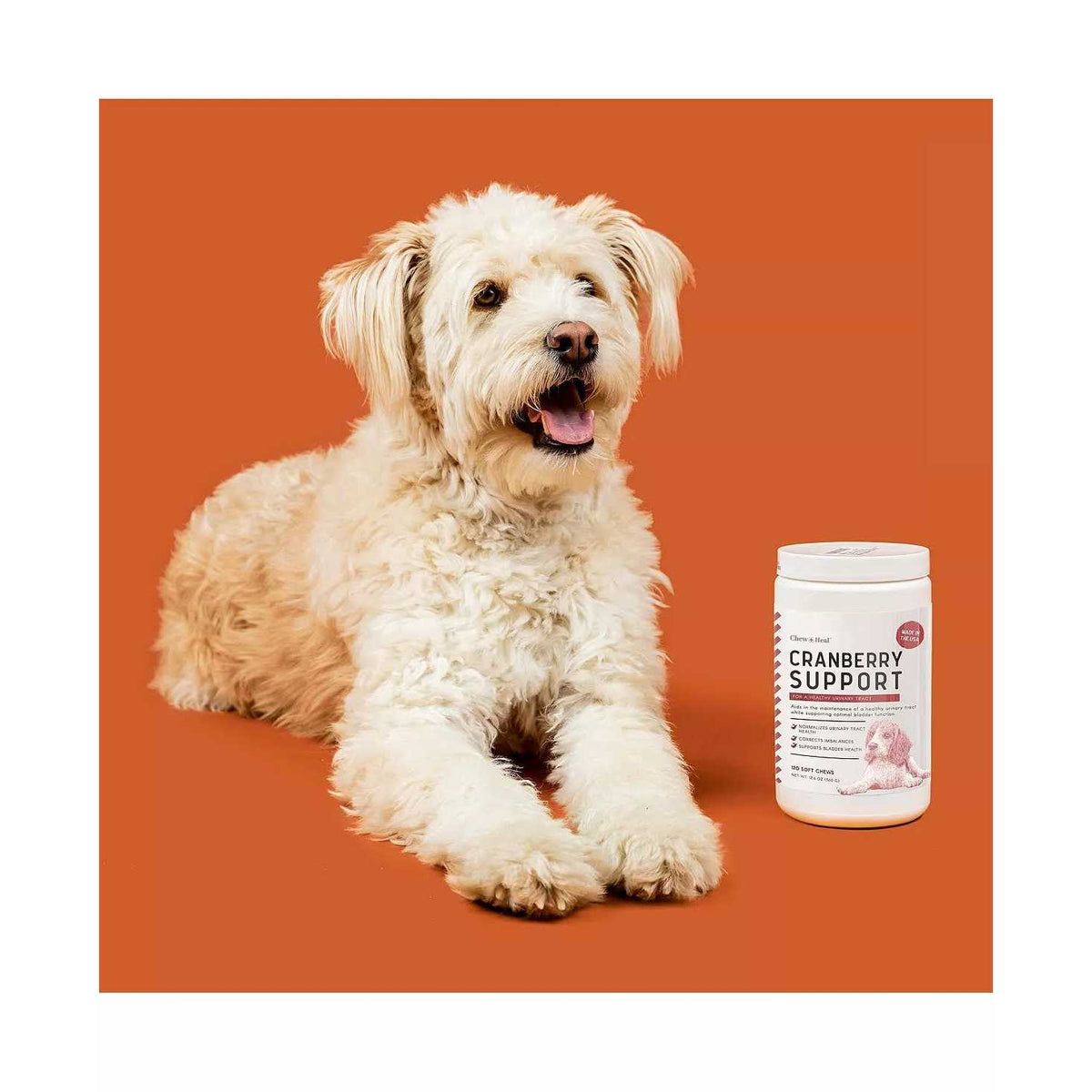 Cranberry Chews for Dogs K17475