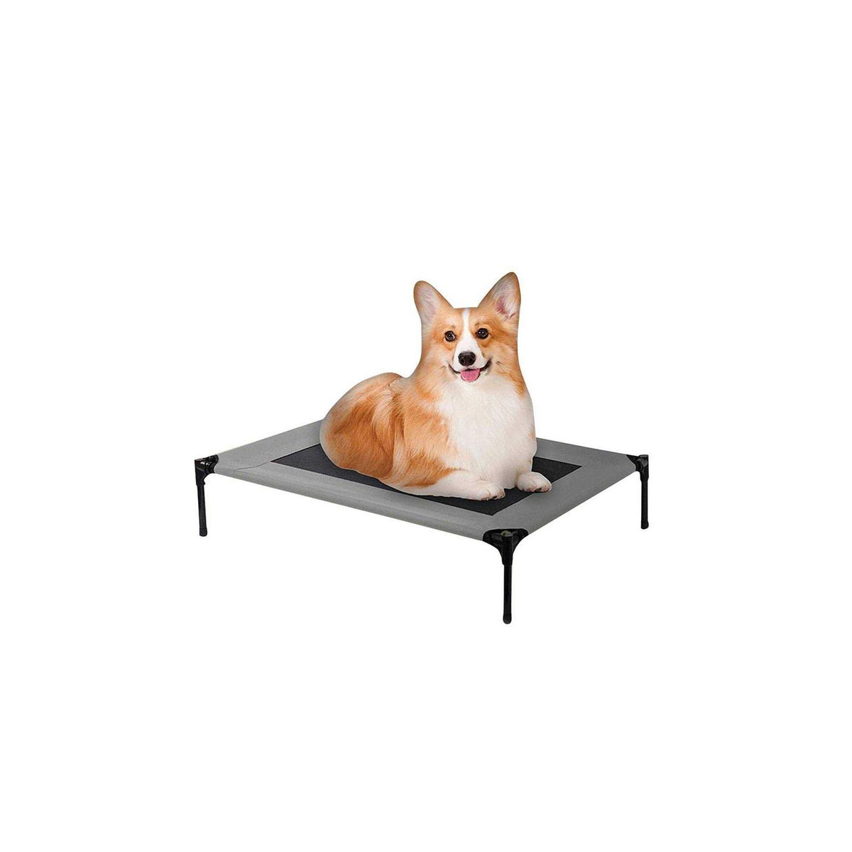 Cot Dog Bed B7922