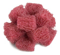 Buff and Blend Cross Buff T22822