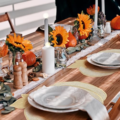 Round Placemats Set of 6 X16531