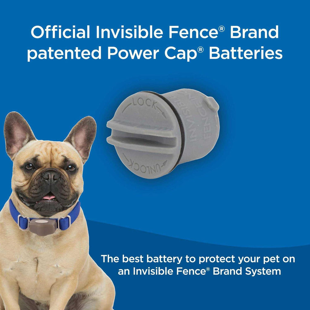 Power Cap Batteries for Computer Collar Units U7925