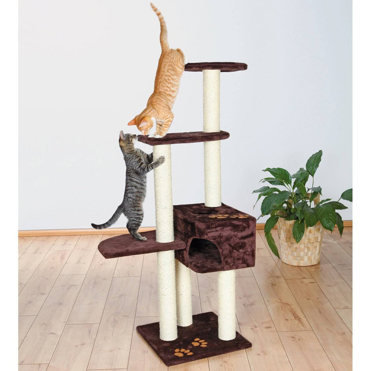 Brown Cat Tree J552