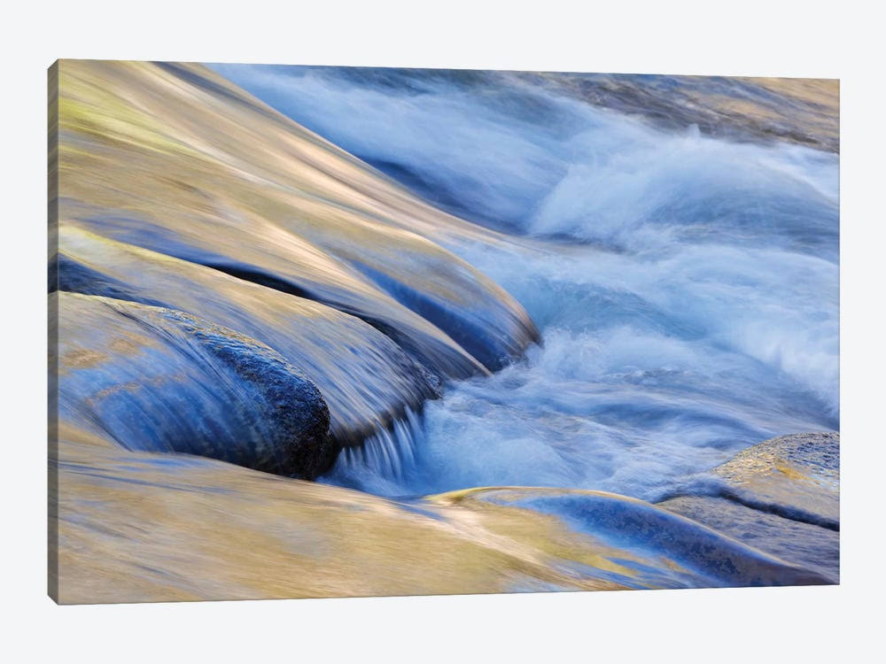 Canvas Art Print F410331