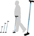 Cane Pack of 2 E517872