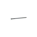 2-1/2 in. Bright Steel Common Nail 50 lb. W30692