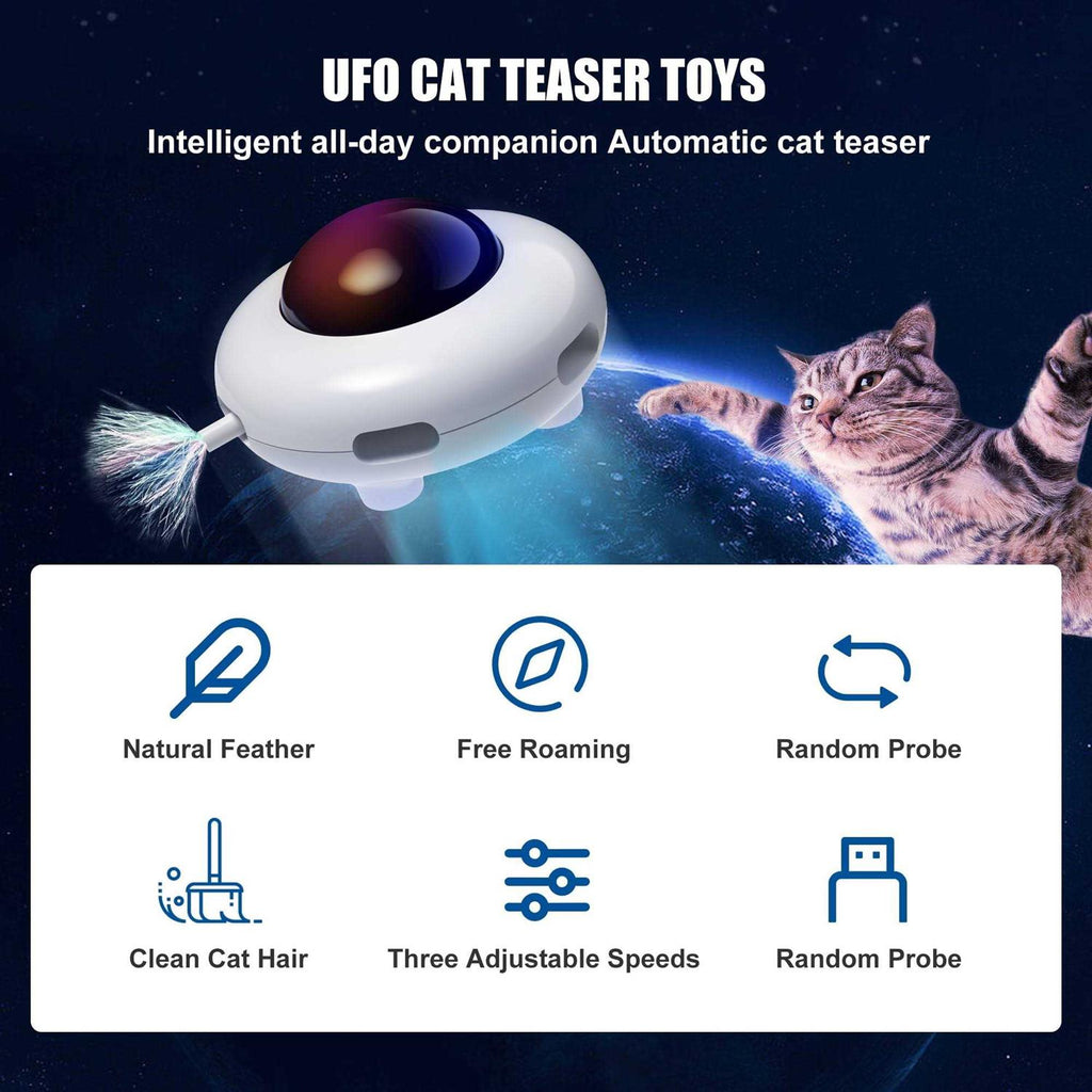 Interactive Cat Toy V194215