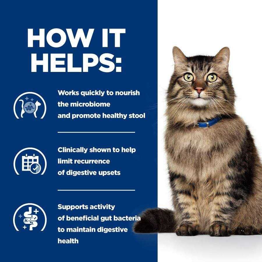 Gastrointestinal Biome Cat Food N4541