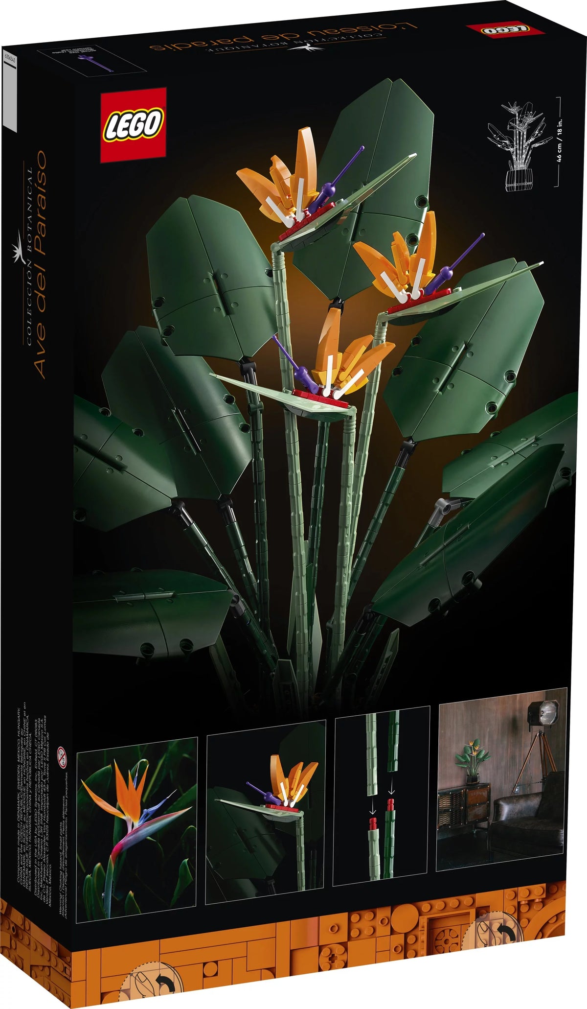 Bird of Paradise Flowers & Plants Model Y801