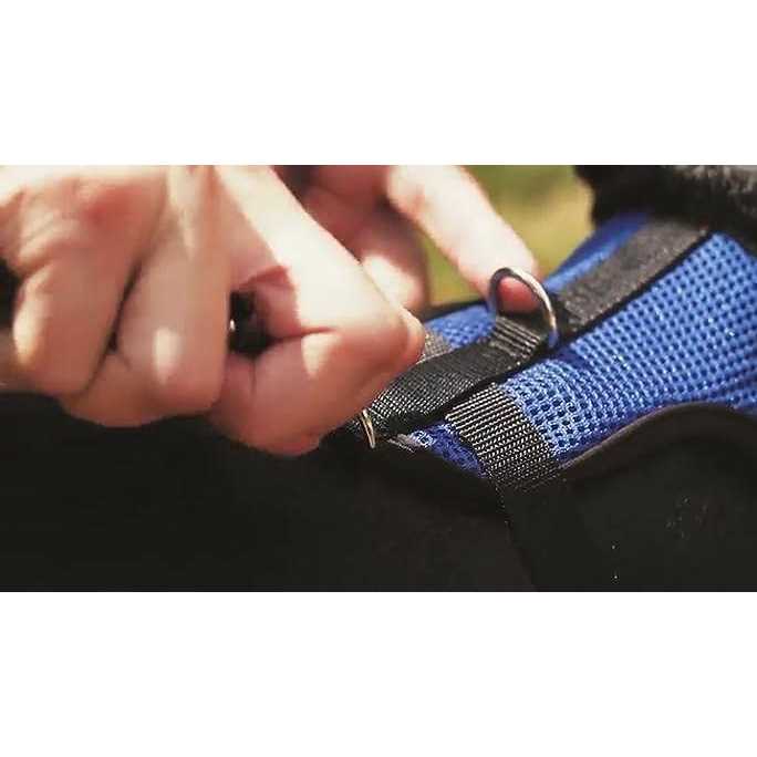 Step in Dog Harness B8943