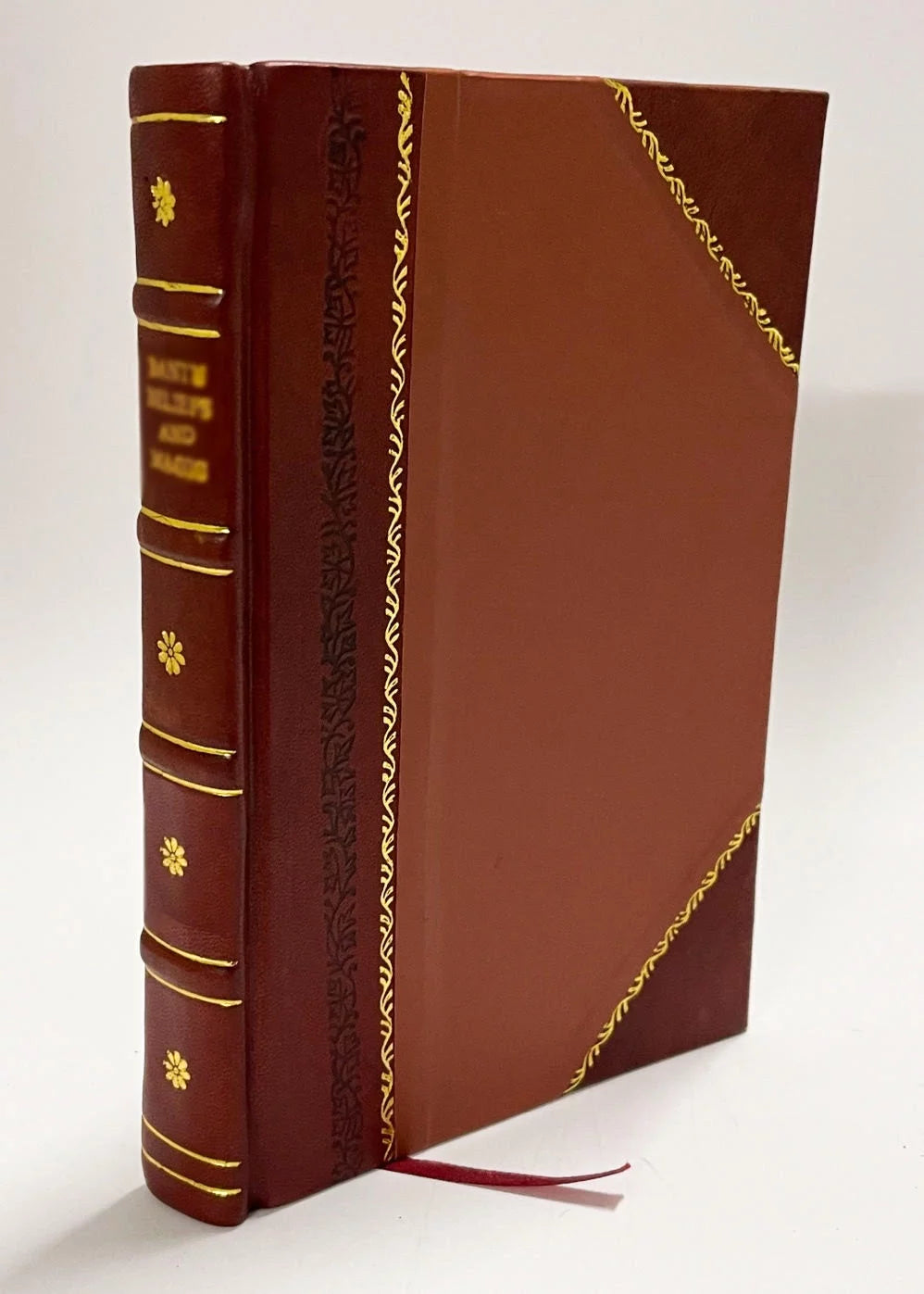 Instructions Sur L'Ordre Surnaturel Et Divin De Deification De L'Homme Par La Grace, Volume 2 H741