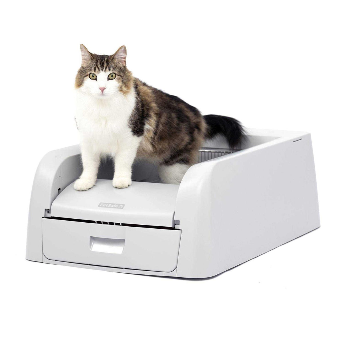 Self-Cleaning Litter Box M84298