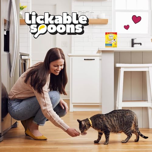 48 Spoons Variety Pack Lickable Wet Cat Treats P12290
