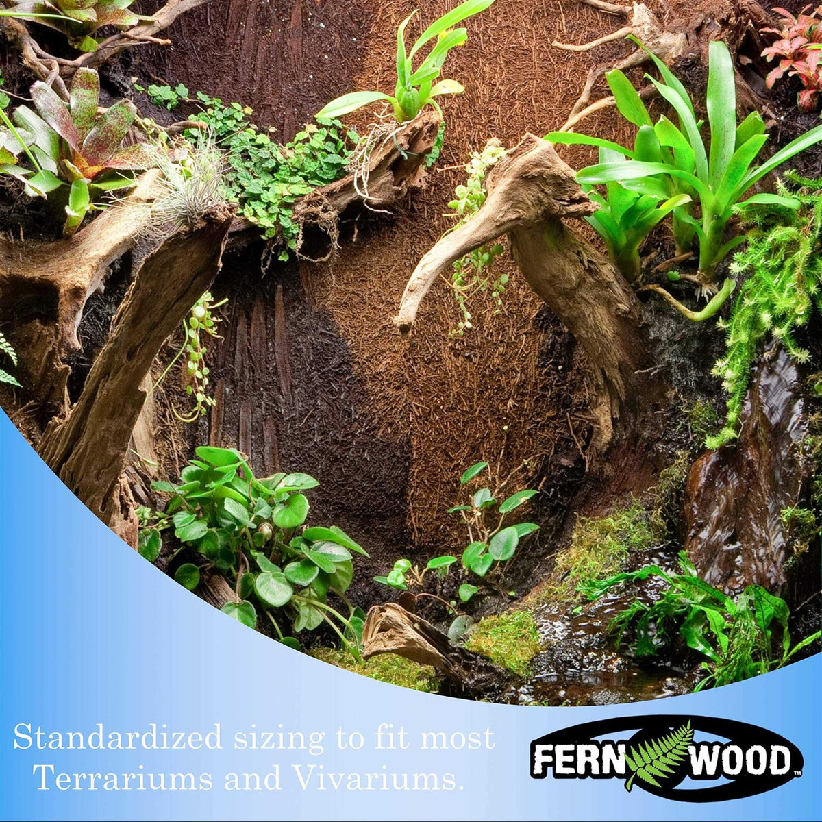 Fern Wood New Zealand Tree Fern Tropical Background Panel Twin Pack Y405