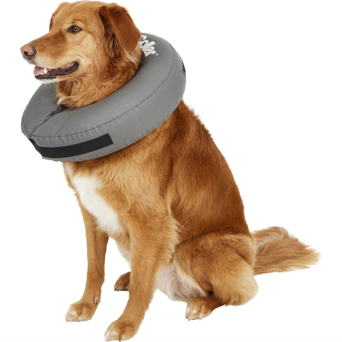 Inflatable Recovery Collar C114