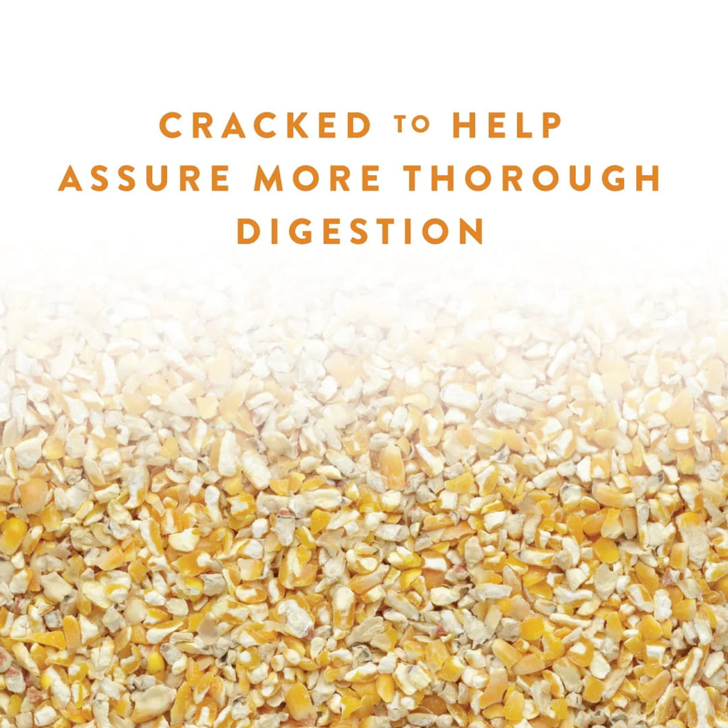 Cracked Corn Animal Feed, 40 lb M3373
