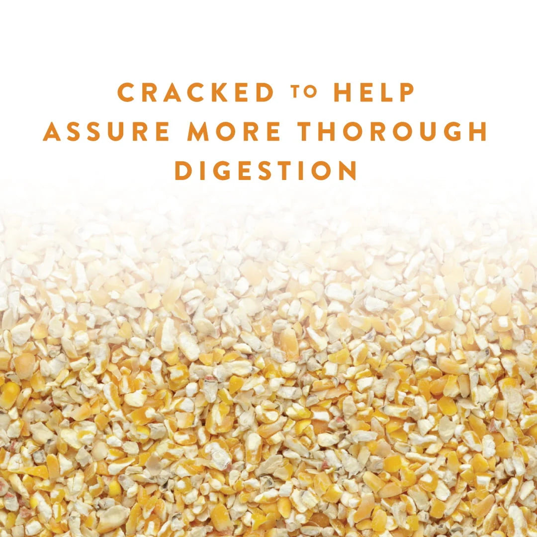 Cracked Corn Animal Feed, 40 lb M3373