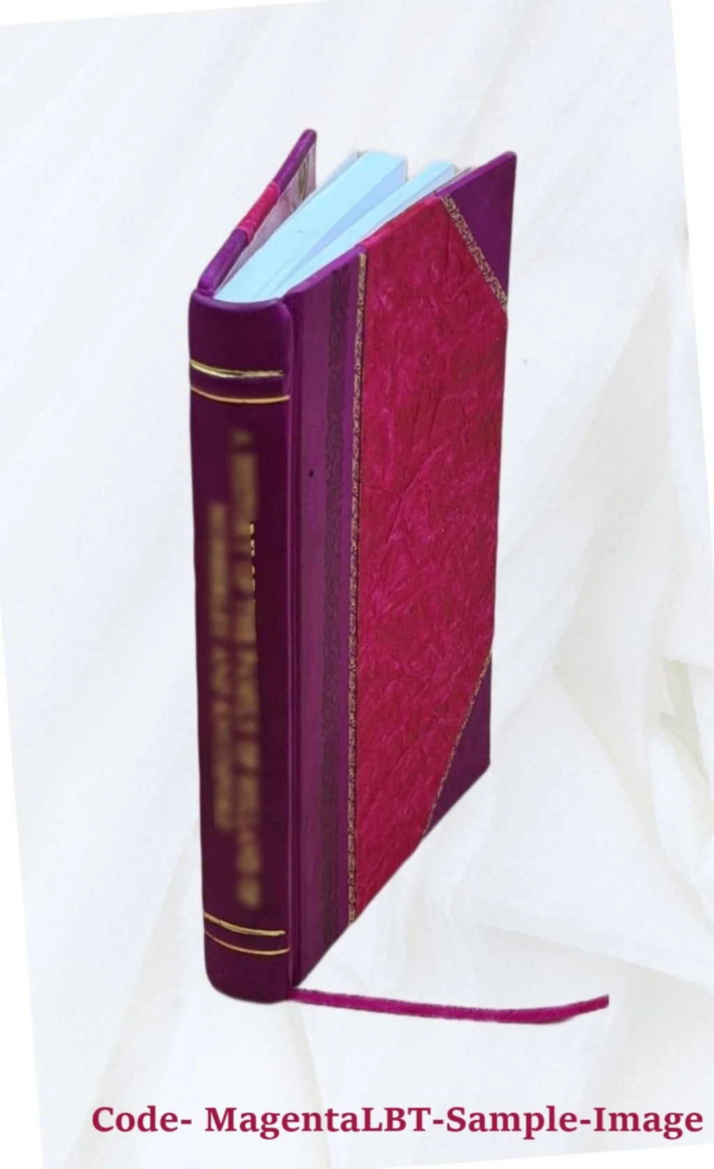 Story of Logan the Mingo Chief Leather Bound A7228
