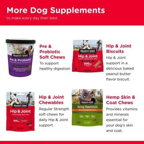 Joint Action Formula for Dogs I447