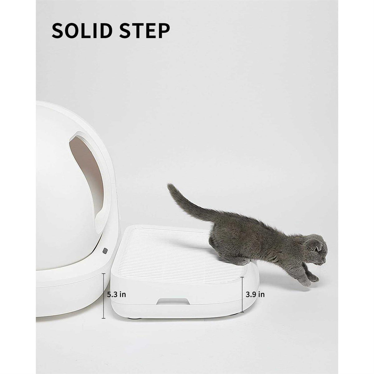 Cat Litter Ramp and Step B739