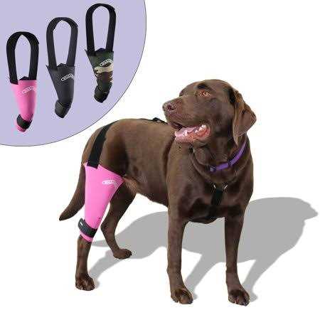 Dog & Cat Knee Brace O86385