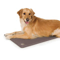 Pet Supplies M861