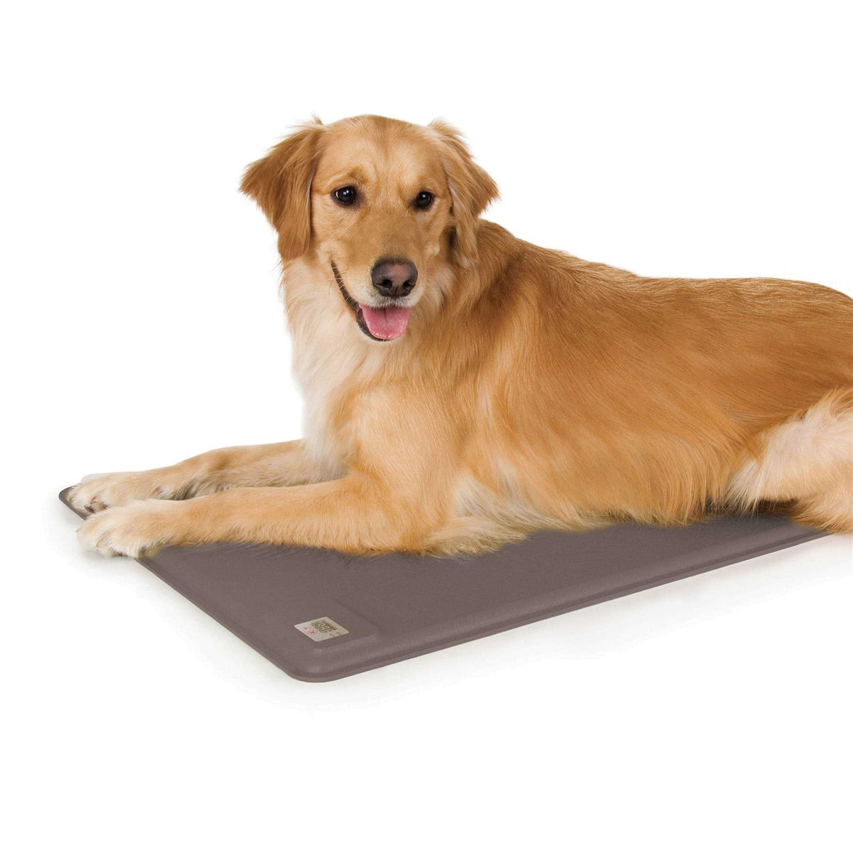 Pet Supplies M861
