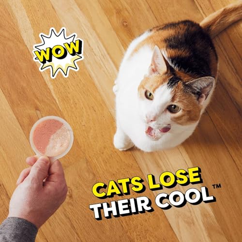 48 Spoons Variety Pack Lickable Wet Cat Treats P12290