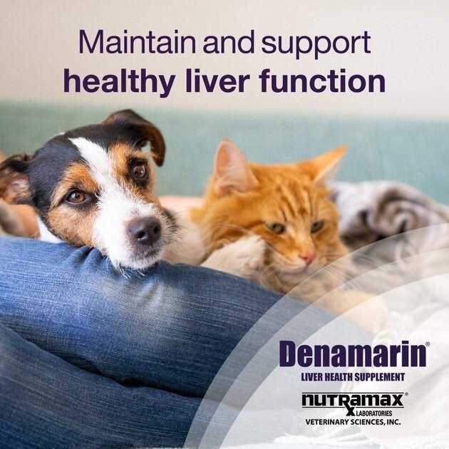 Liver Health Tablets Dogs Z245