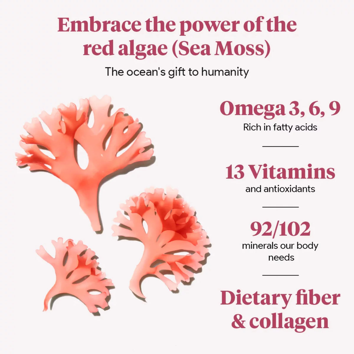 Organic Sea Moss with Beet Root Capsules P1064