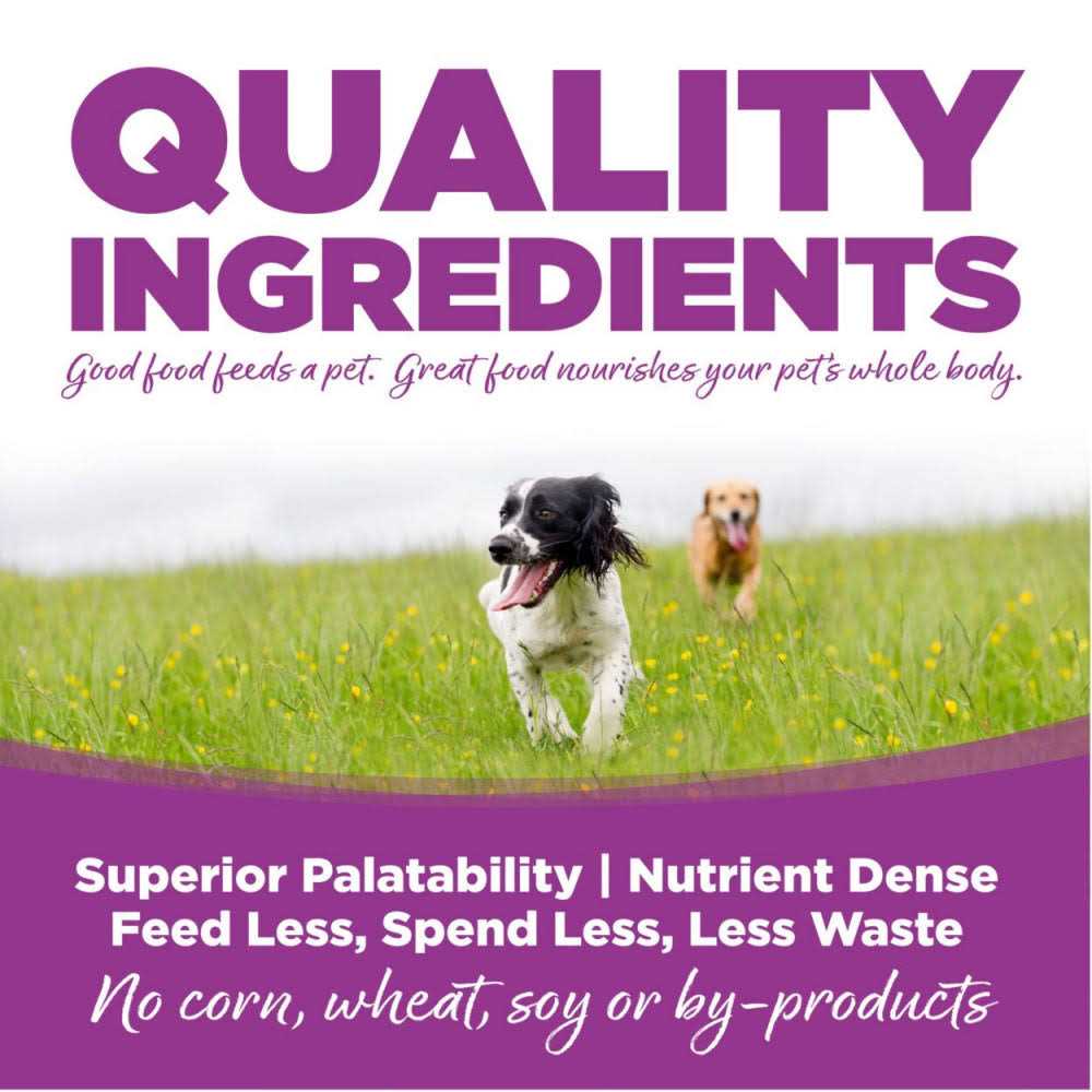 Chicken Rice Large-Breed Puppy Dry Dog Food W2176