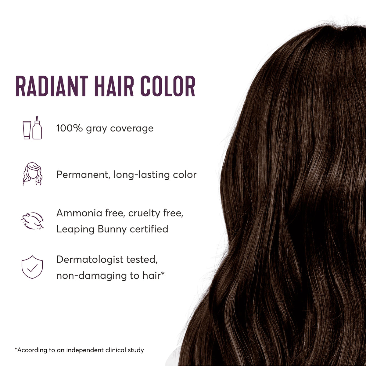Permanent Hair Color Kit, True Medium Brown, 8-Piece Kit T372357