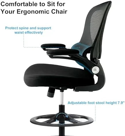 Ergonomic Mesh Office Chair with Lumbar Support Black Y780