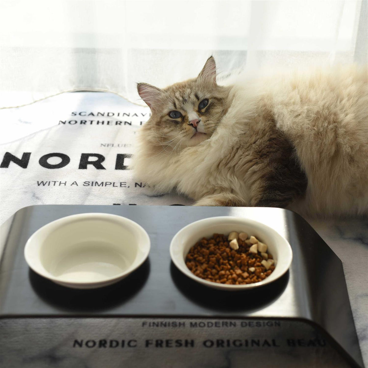 Pet Food Table L8576