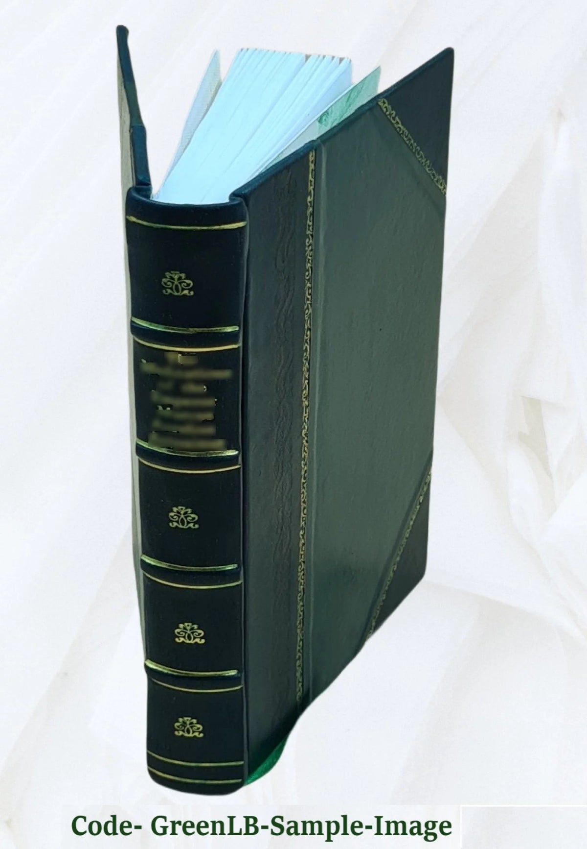 Birds through an opera glass Leather Bound Y827