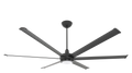 Black Ceiling Fan O10476
