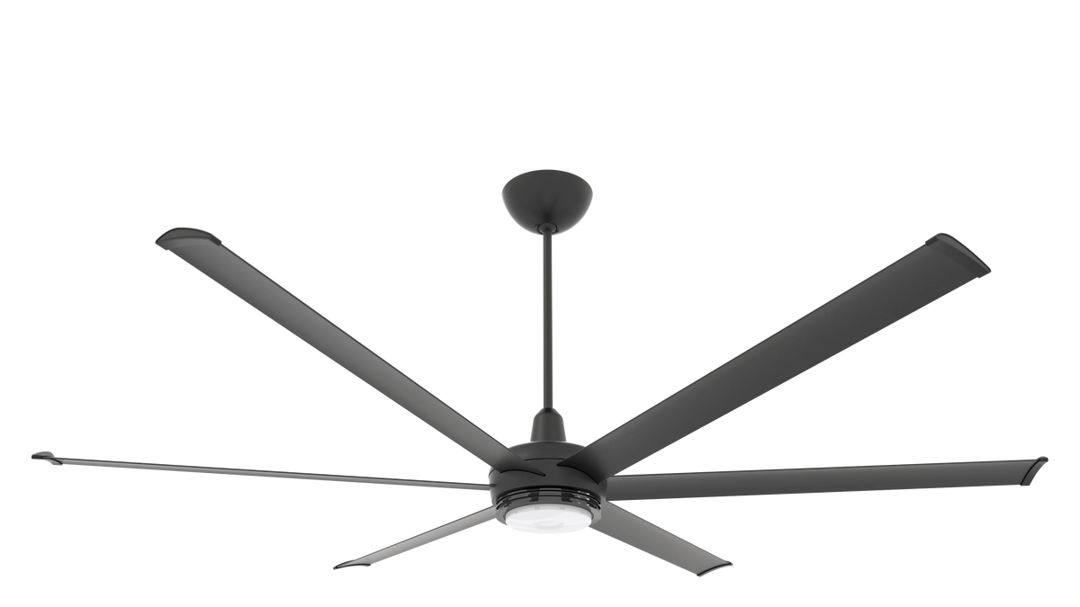 Black Ceiling Fan O10476